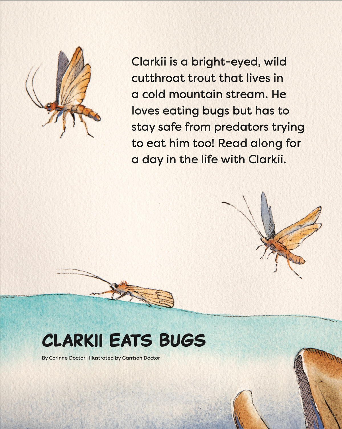 back cover shows bugs above the water with a fish mouth coming from below.  It reads clarkii is a bright eyed wild cutthroat trout that lives in a cold mountain stream. he loves eating bugs bug has to stay safe from predators trying to eat him too. Read a