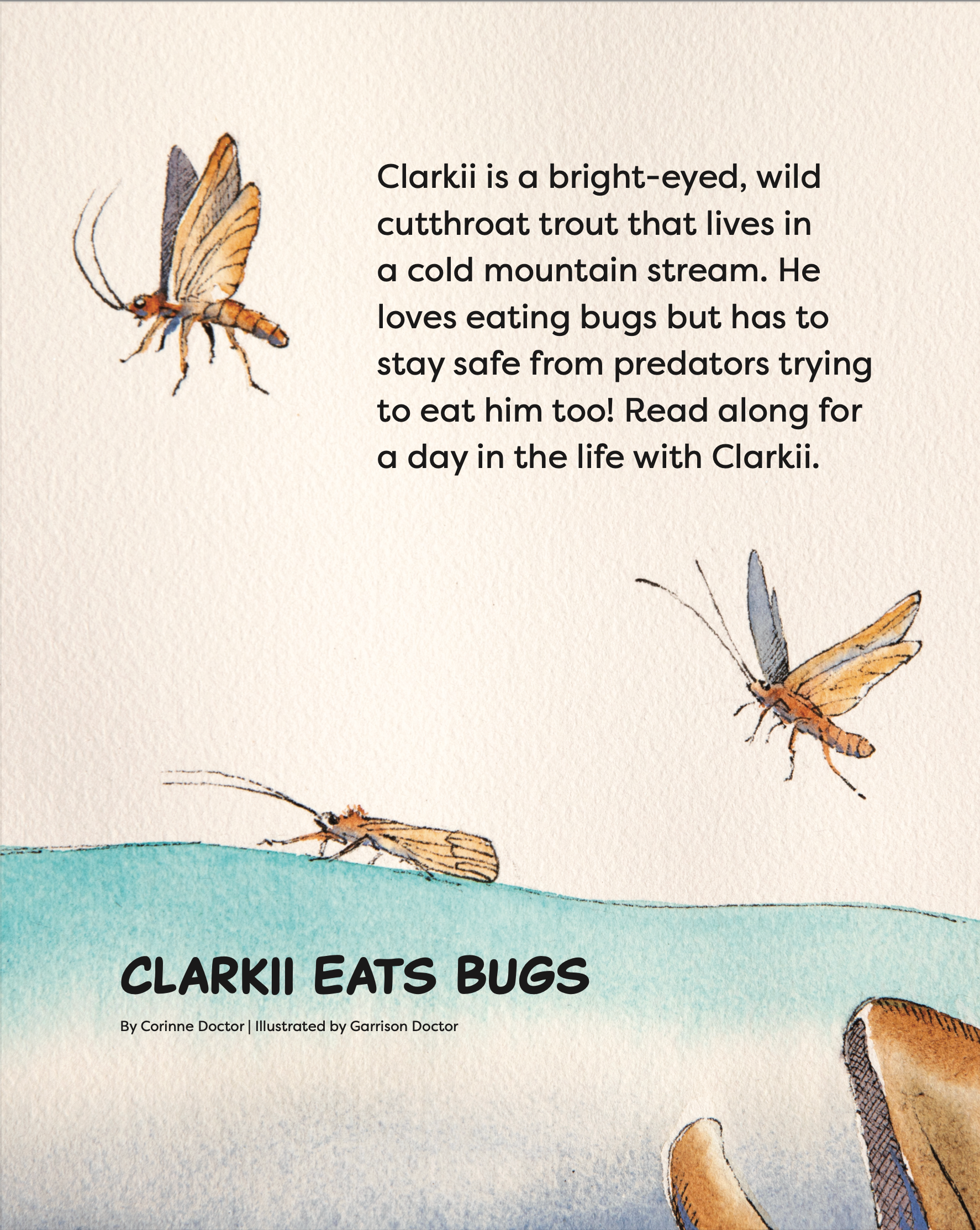 back cover shows bugs above the water with a fish mouth coming from below.  It reads clarkii is a bright eyed wild cutthroat trout that lives in a cold mountain stream. he loves eating bugs bug has to stay safe from predators trying to eat him too. Read a