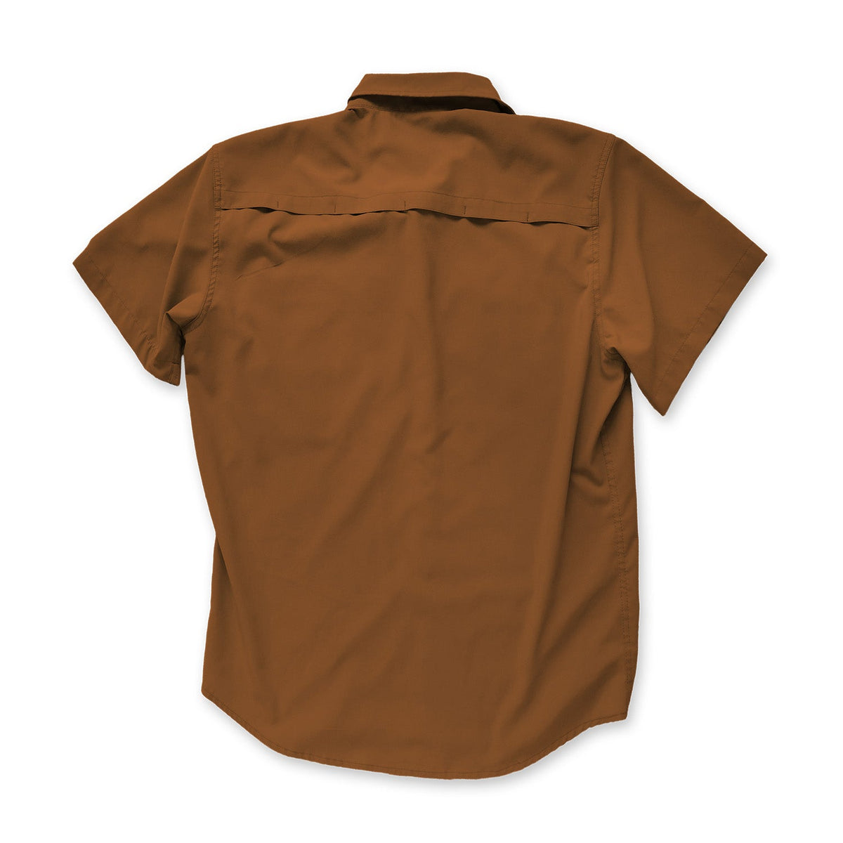 teak short sleeve button down shirt back on white background
