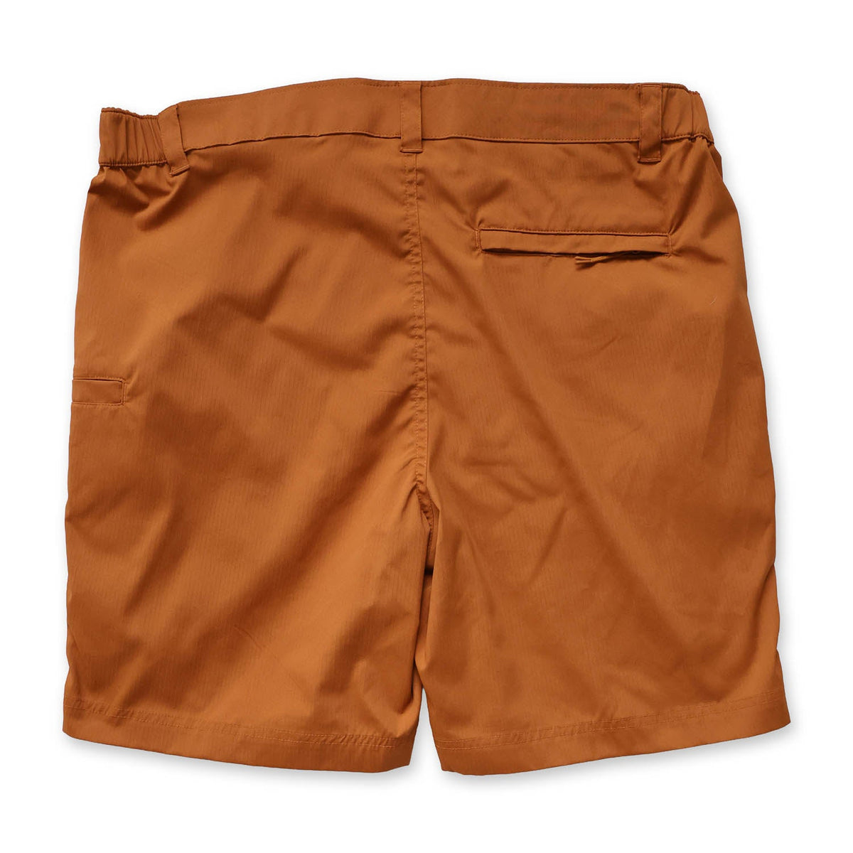 back of teack shorts on white background